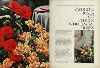 Better Homes & Gardens February 1962 Magazine Article: FAVORITE ROSES OF PEOPLE WHO KNOW ROSES
