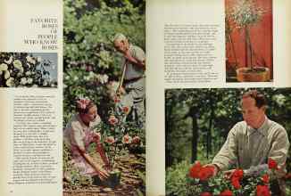 Better Homes & Gardens February 1962 Magazine Article: Page 48