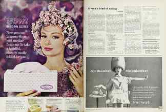 Better Homes & Gardens February 1962 Magazine Article: Page 84