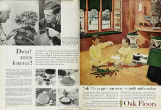 Better Homes & Gardens February 1962 Magazine Article: Page 116