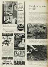 Better Homes & Gardens March 1962 Magazine Article: Toughen up your TURF