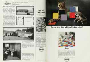 Better Homes & Gardens March 1962 Magazine Article: Page 22