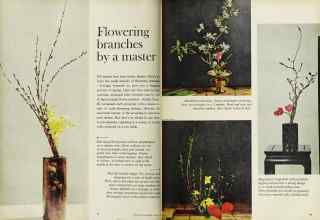 Better Homes & Gardens March 1962 Magazine Article: Flowering branches by a master