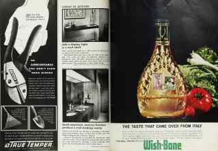 Better Homes & Gardens April 1962 Magazine Article: Page 14