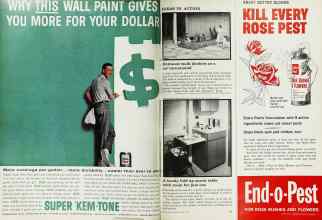 Better Homes & Gardens April 1962 Magazine Article: Page 28