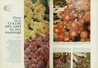 Better Homes & Gardens April 1962 Magazine Article: Page 66