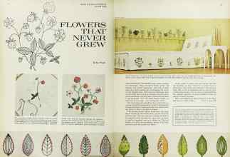 Better Homes & Gardens April 1962 Magazine Article: FLOWERS THAT NEVER GREW