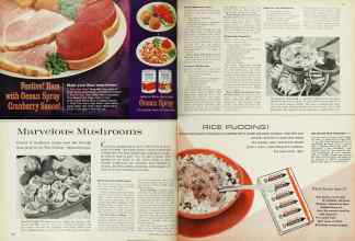 Better Homes & Gardens April 1962 Magazine Article: Page 90