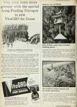Better Homes & Gardens May 1962 Magazine Article: Give birds a safe year-around feeding place