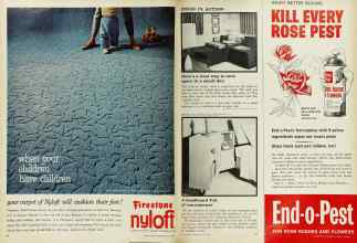 Better Homes & Gardens May 1962 Magazine Article: Page 46