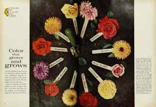 Better Homes & Gardens May 1962 Magazine Article: Color that grows and grows
