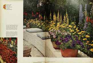 Better Homes & Gardens May 1962 Magazine Article: Page 60