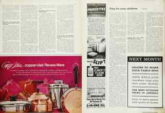 Better Homes & Gardens May 1962 Magazine Article: Page 111