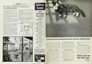 Better Homes & Gardens June 1962 Magazine Article: Page 36