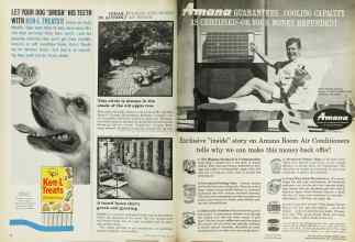 Better Homes & Gardens June 1962 Magazine Article: Page 38