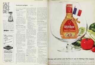 Better Homes & Gardens June 1962 Magazine Article: Page 102