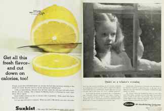 Better Homes & Gardens July 1962 Magazine Article: Page 2