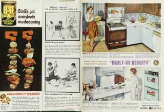 Better Homes & Gardens July 1962 Magazine Article: Page 24