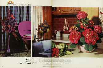 Better Homes & Gardens July 1962 Magazine Article: Page 54