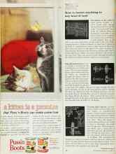 Better Homes & Gardens October 1962 Magazine Article: How to fasten anything to any kind of wall