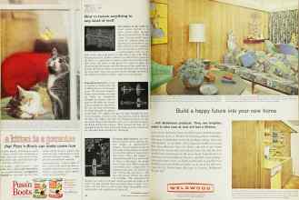 Better Homes & Gardens October 1962 Magazine Article: Page 48