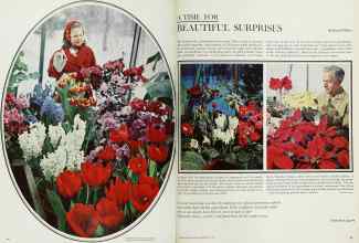 Better Homes & Gardens December 1962 Magazine Article: A TIME FOR BEAUTIFUL SURPRISES
