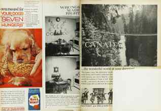 Better Homes & Gardens February 1963 Magazine Article: Page 44