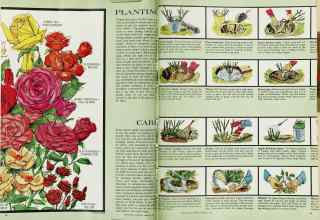 Better Homes & Gardens February 1963 Magazine Article: Page 62