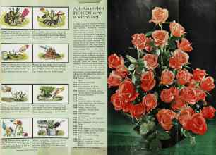 Better Homes & Gardens February 1963 Magazine Article: Page 64