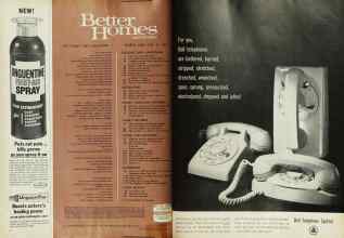 Better Homes & Gardens March 1963 Magazine Article: Page 4