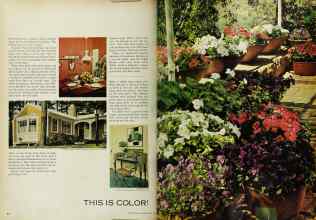 Better Homes & Gardens April 1963 Magazine Article: Page 54