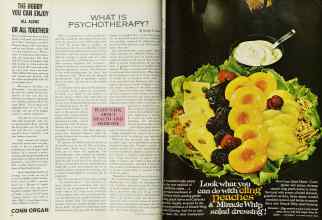 Better Homes & Gardens April 1963 Magazine Article: Page 88