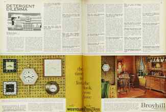 Better Homes & Gardens April 1963 Magazine Article: DETERGENT DILEMMA