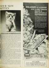 Better Homes & Gardens May 1963 Magazine Article: YOUR NEW KITTEN