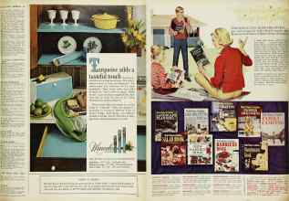 Better Homes & Gardens May 1963 Magazine Article: Page 101