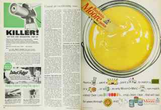 Better Homes & Gardens June 1963 Magazine Article: Page 100