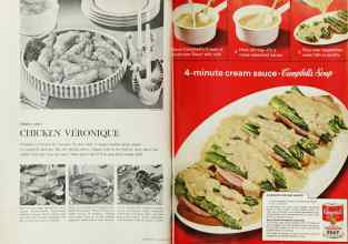 Better Homes & Gardens July 1963 Magazine Article: Page 66