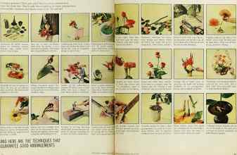 Better Homes & Gardens August 1963 Magazine Article: Page 64