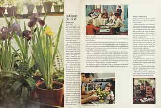 Better Homes & Gardens January 1964 Magazine Article: Page 32