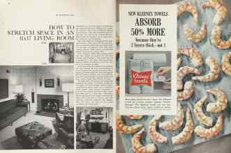 Better Homes & Gardens February 1964 Magazine Article: Page 22