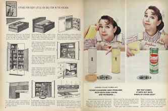 Better Homes & Gardens February 1964 Magazine Article: Page 38