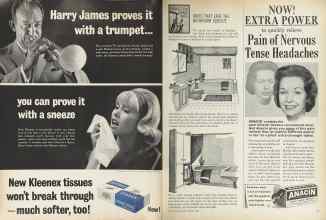 Better Homes & Gardens February 1964 Magazine Article: Page 40