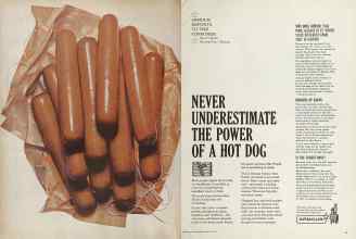 Better Homes & Gardens February 1964 Magazine Article: Page 44