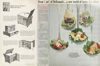 Better Homes & Gardens February 1964 Magazine Article: Page 46