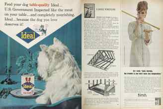 Better Homes & Gardens February 1964 Magazine Article: Page 48