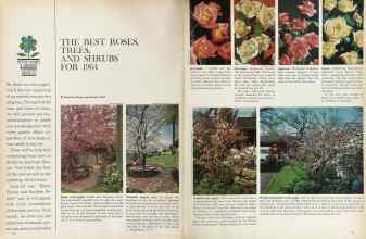 Better Homes & Gardens February 1964 Magazine Article: THE BEST ROSES, TREES, AND SHRUBS FOR 1964
