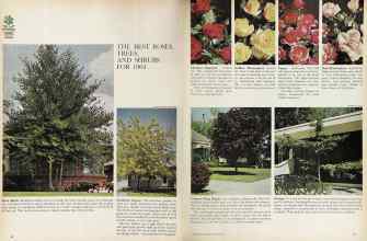 Better Homes & Gardens February 1964 Magazine Article: Page 66