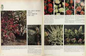 Better Homes & Gardens February 1964 Magazine Article: Page 68