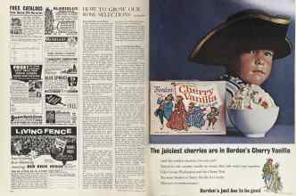 Better Homes & Gardens February 1964 Magazine Article: Page 102