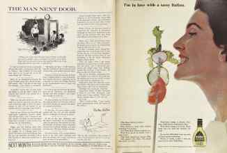 Better Homes & Gardens February 1964 Magazine Article: Page 118